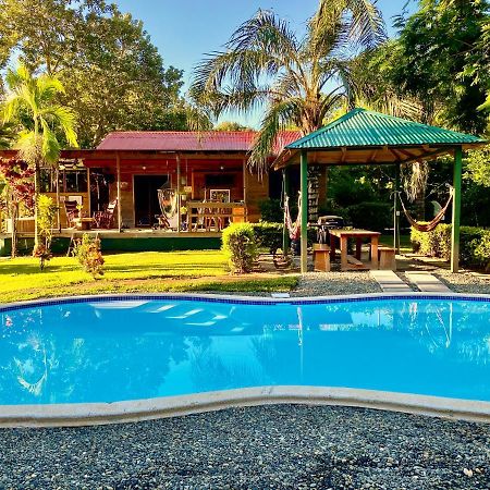 Uvita Oasis Retreat With Villa Cabins And Apartment Εξωτερικό φωτογραφία