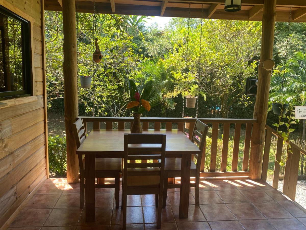 Uvita Oasis Retreat With Villa Cabins And Apartment Εξωτερικό φωτογραφία