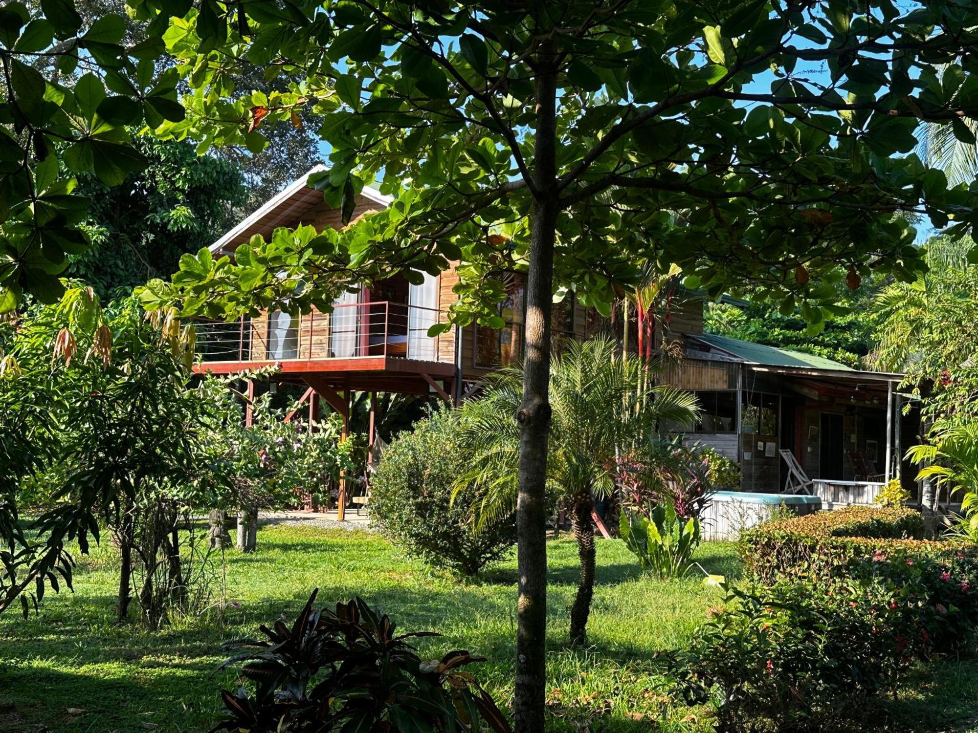 Uvita Oasis Retreat With Villa Cabins And Apartment Εξωτερικό φωτογραφία