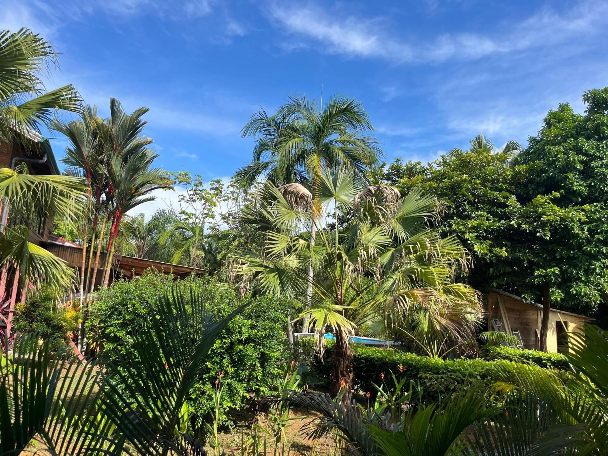Uvita Oasis Retreat With Villa Cabins And Apartment Εξωτερικό φωτογραφία