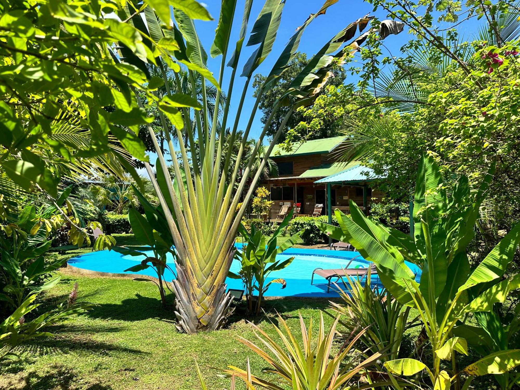 Uvita Oasis Retreat With Villa Cabins And Apartment Εξωτερικό φωτογραφία