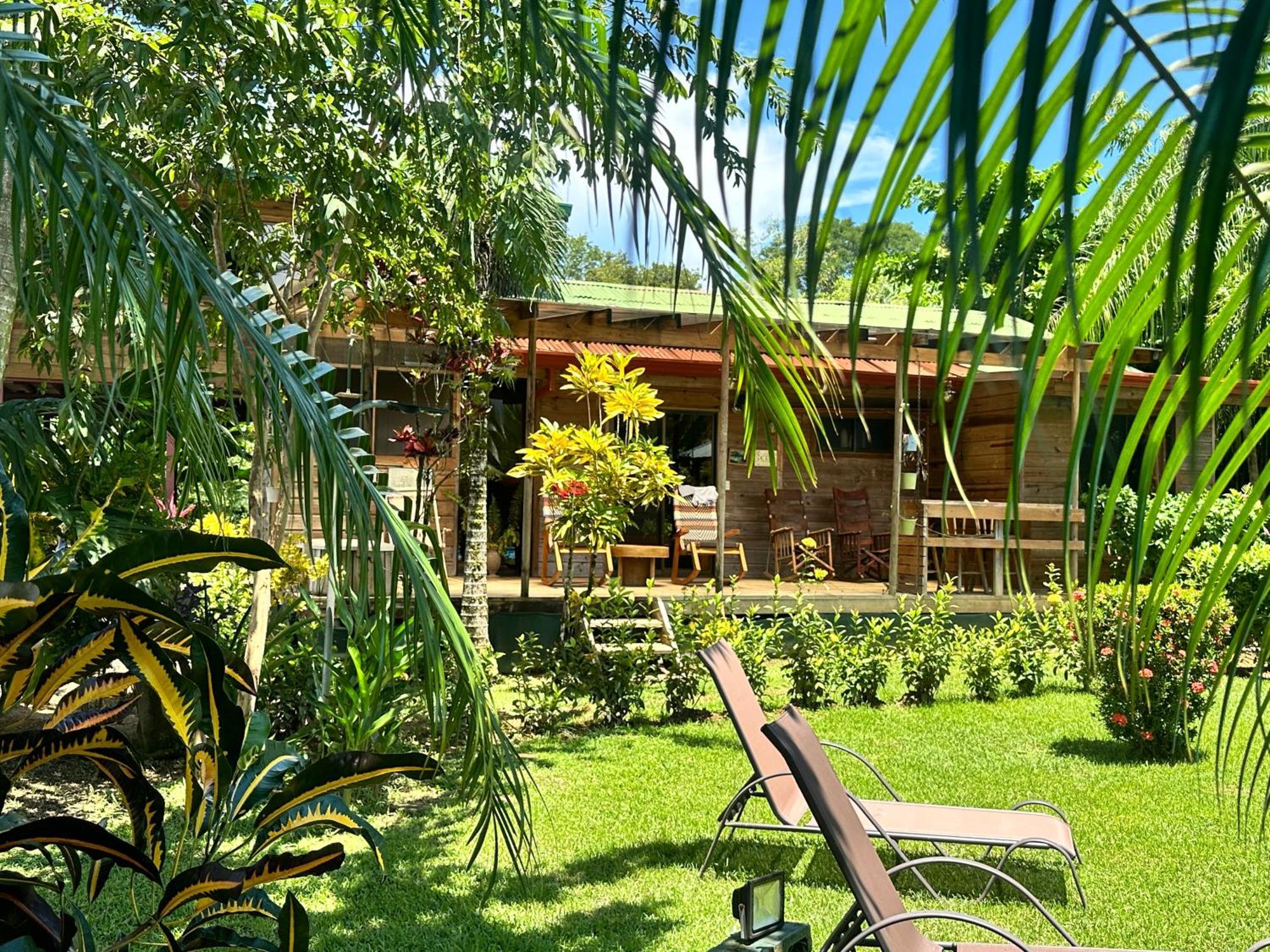 Uvita Oasis Retreat With Villa Cabins And Apartment Εξωτερικό φωτογραφία