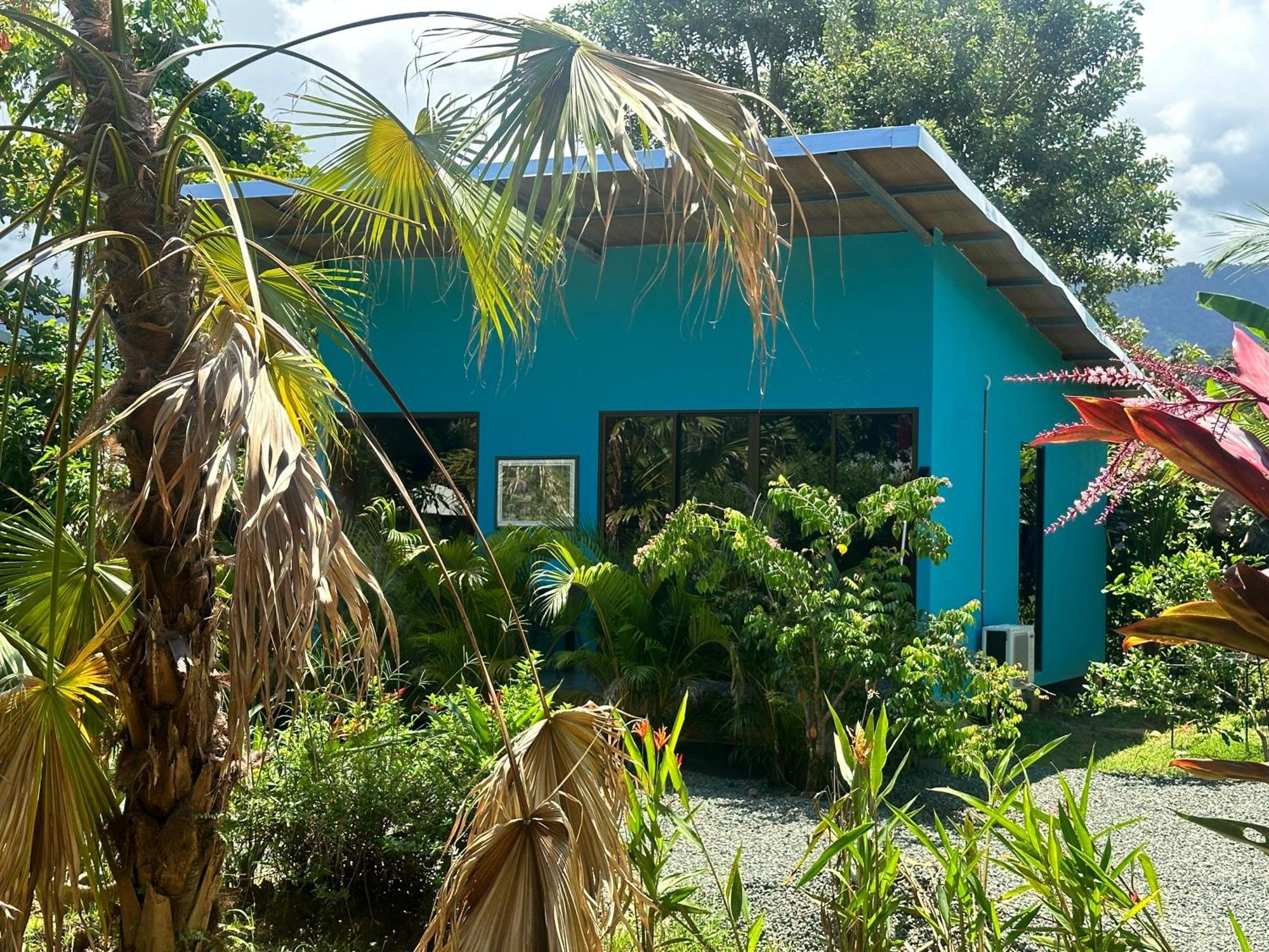 Uvita Oasis Retreat With Villa Cabins And Apartment Εξωτερικό φωτογραφία