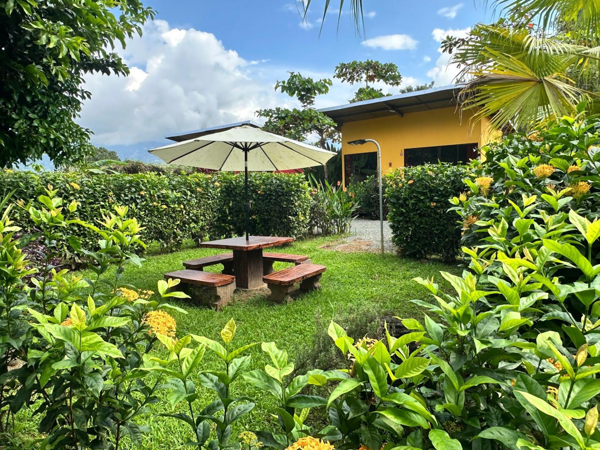 Uvita Oasis Retreat With Villa Cabins And Apartment Εξωτερικό φωτογραφία
