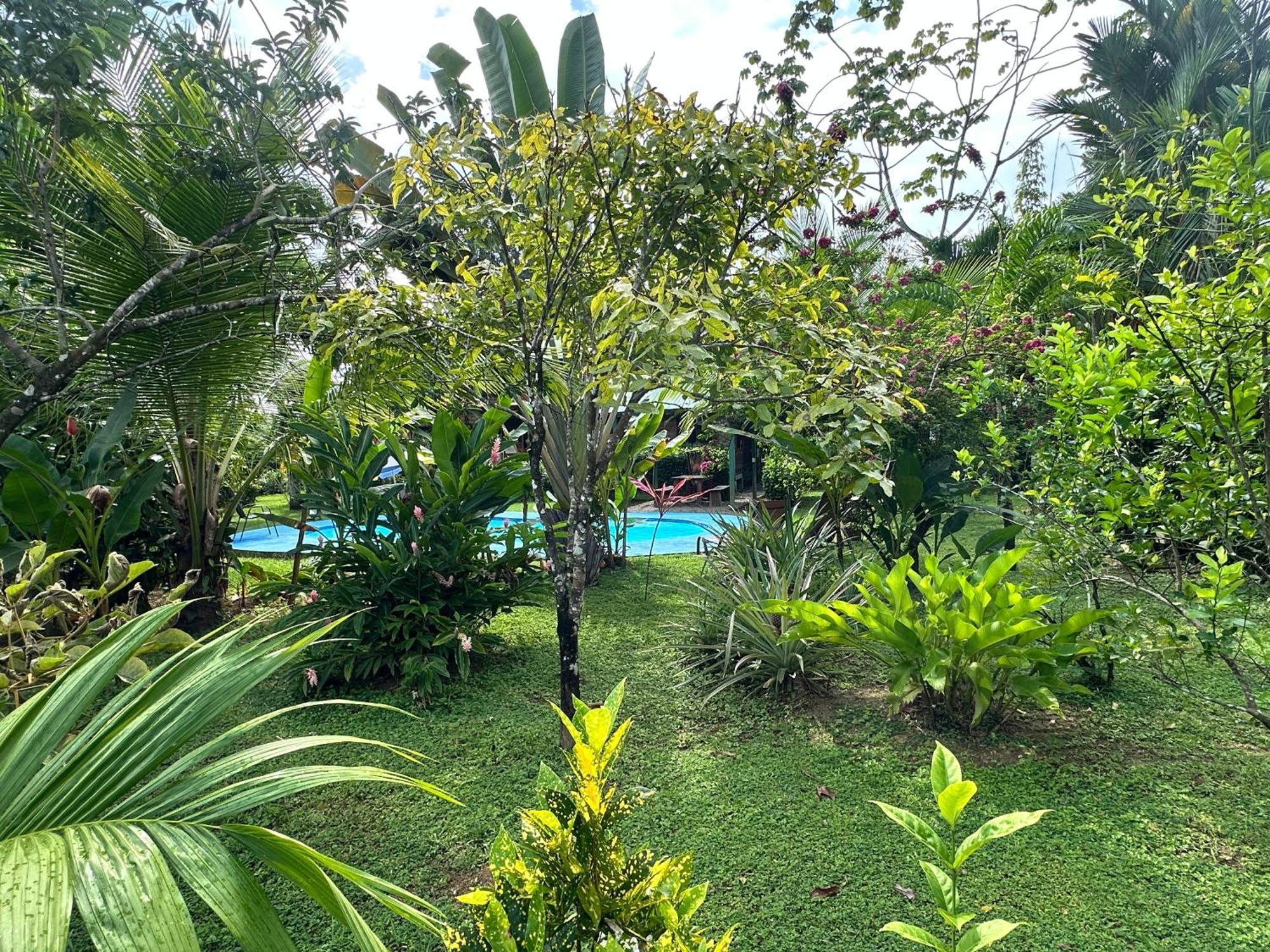 Uvita Oasis Retreat With Villa Cabins And Apartment Εξωτερικό φωτογραφία
