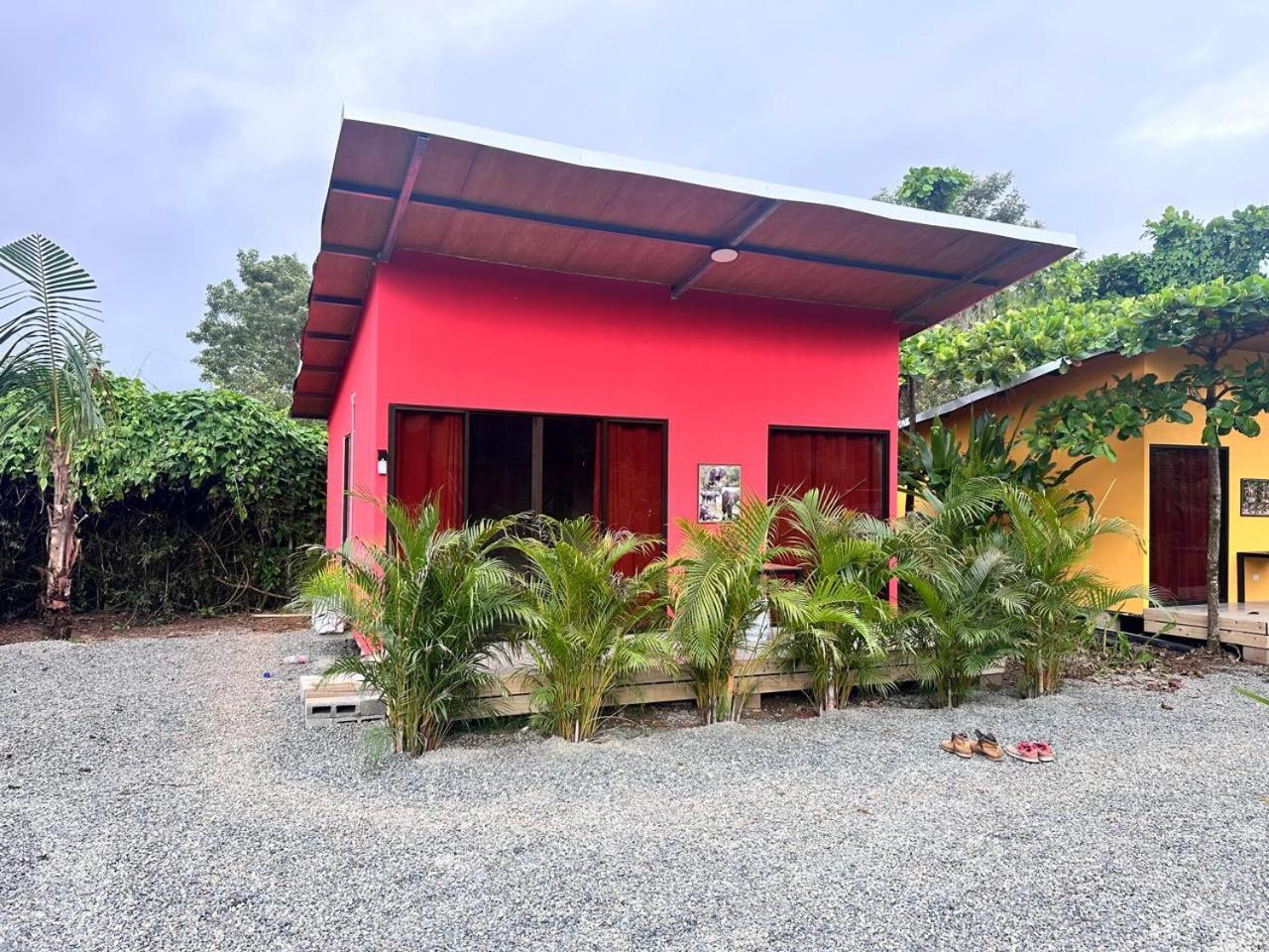 Uvita Oasis Retreat With Villa Cabins And Apartment Εξωτερικό φωτογραφία